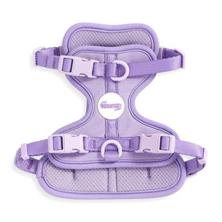 Arlo Adjustable No Pull Pet Harness Purple