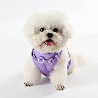 Arlo Adjustable No Pull Pet Harness