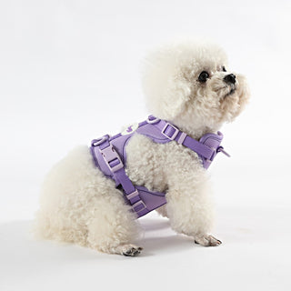 Arlo Adjustable No Pull Pet Harness