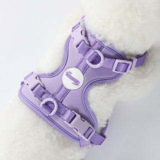 Arlo Adjustable No Pull Pet Harness