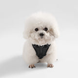 Arlo Adjustable No Pull Pet Harness