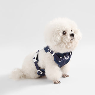 Arlo Adjustable No Pull Pet Harness