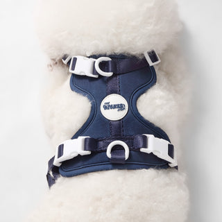 Arlo Adjustable No Pull Pet Harness