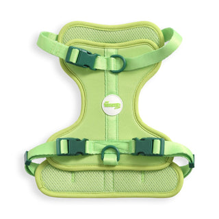 Arlo Adjustable No Pull Pet Harness Light Green