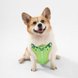 Arlo Adjustable No Pull Pet Harness