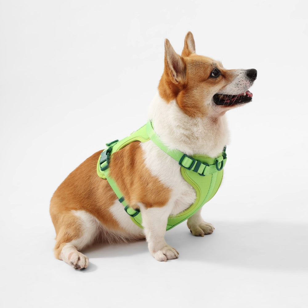 Arlo Adjustable No Pull Pet Harness
