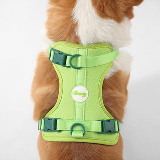 Arlo Adjustable No Pull Pet Harness