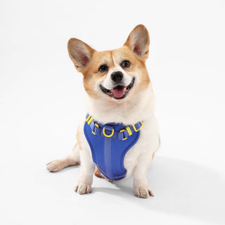 Arlo Adjustable No Pull Pet Harness