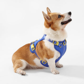 Arlo Adjustable No Pull Pet Harness