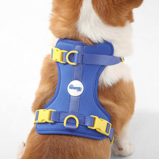 Arlo Adjustable No Pull Pet Harness
