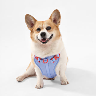 Arlo Adjustable No Pull Pet Harness