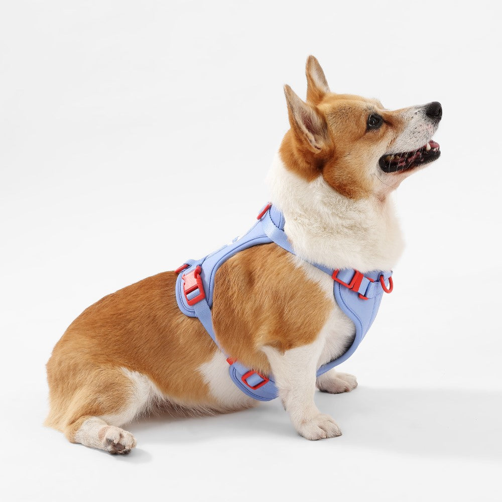 Arlo Adjustable No Pull Pet Harness