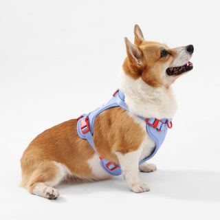 Arlo Adjustable No Pull Pet Harness