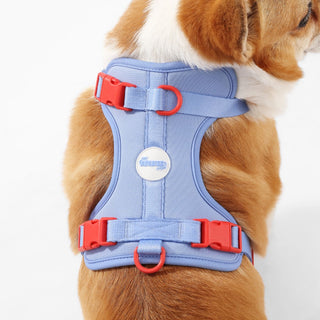 Arlo Adjustable No Pull Pet Harness