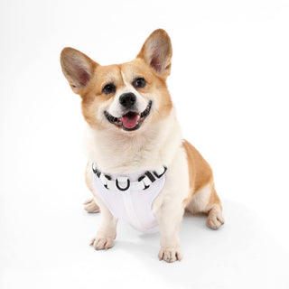 Arlo Adjustable No Pull Pet Harness