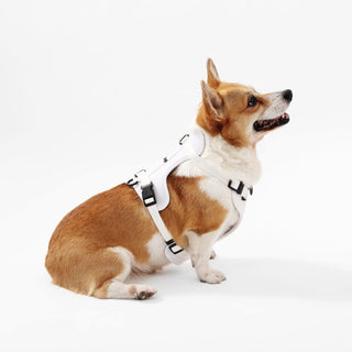 Arlo Adjustable No Pull Pet Harness