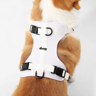 Arlo Adjustable No Pull Pet Harness