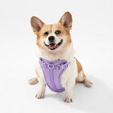 Khushal Adjustable Soft Padded No Pull Pet Harness with 3 Buckles and 3 Leash Clips