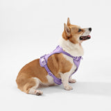 Khushal Adjustable Soft Padded No Pull Pet Harness with 3 Buckles and 3 Leash Clips