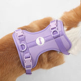 Khushal Adjustable Soft Padded No Pull Pet Harness with 3 Buckles and 3 Leash Clips