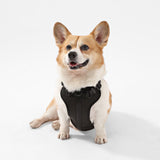 Khushal Adjustable Soft Padded No Pull Pet Harness with 3 Buckles and 3 Leash Clips