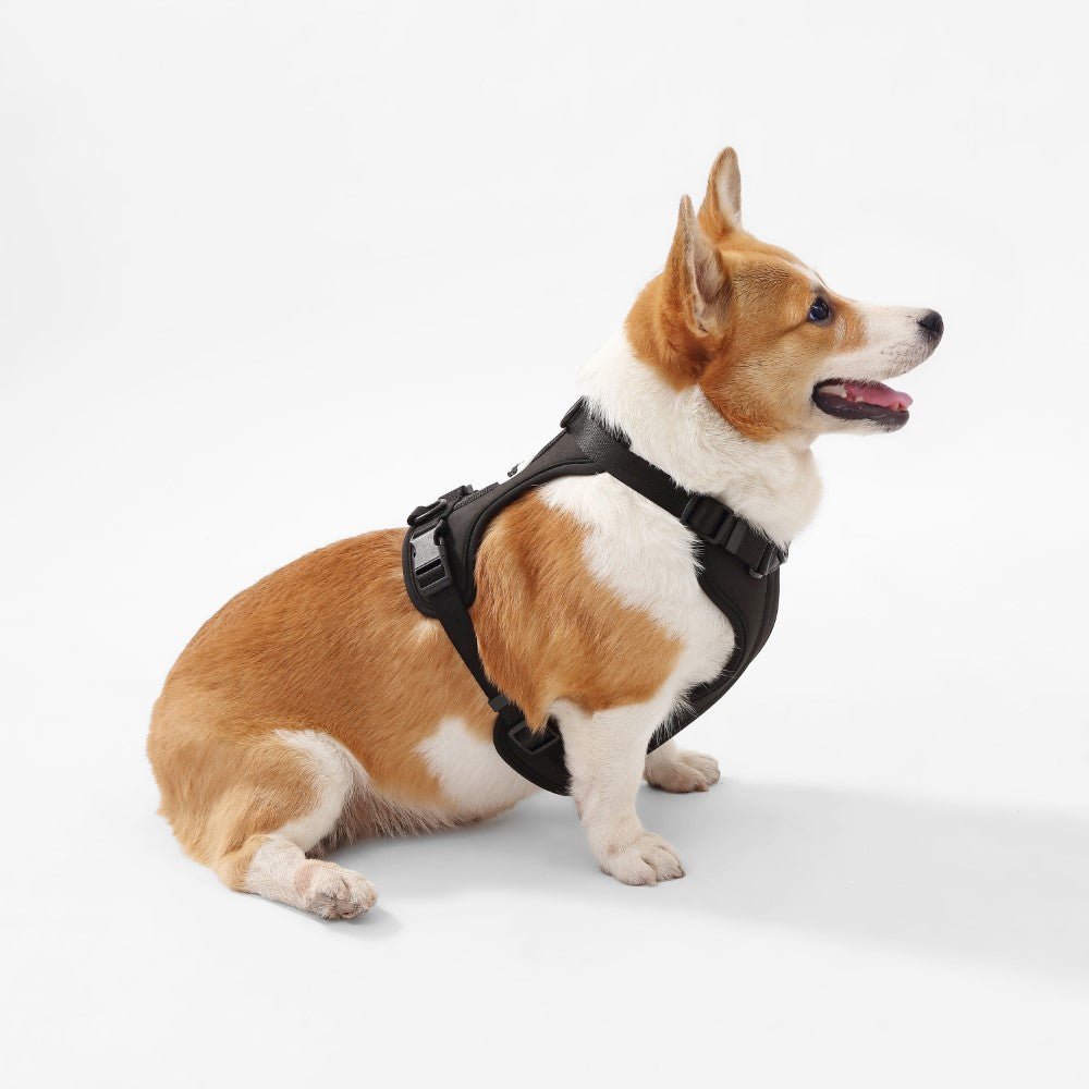Khushal Adjustable Soft Padded No Pull Pet Harness with 3 Buckles and 3 Leash Clips