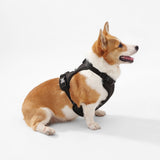 Khushal Adjustable Soft Padded No Pull Pet Harness with 3 Buckles and 3 Leash Clips