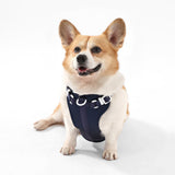 Khushal Adjustable Soft Padded No Pull Pet Harness with 3 Buckles and 3 Leash Clips