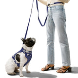 Khushal Adjustable Soft Padded No Pull Pet Harness with 3 Buckles and 3 Leash Clips