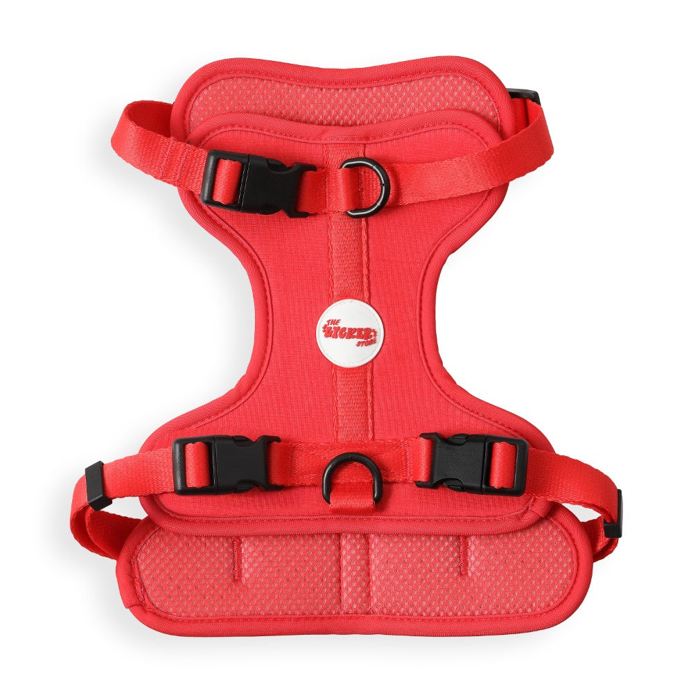 Khushal Adjustable Soft Padded No Pull Pet Harness with 3 Buckles and 3 Leash Clips