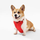 Khushal Adjustable Soft Padded No Pull Pet Harness with 3 Buckles and 3 Leash Clips