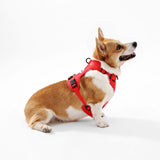 Khushal Adjustable Soft Padded No Pull Pet Harness with 3 Buckles and 3 Leash Clips