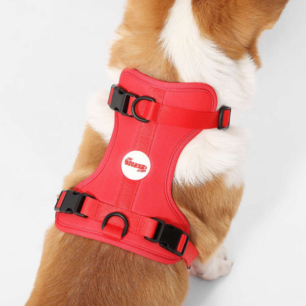 Khushal Adjustable Soft Padded No Pull Pet Harness with 3 Buckles and 3 Leash Clips