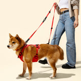 Khushal Adjustable Soft Padded No Pull Pet Harness with 3 Buckles and 3 Leash Clips
