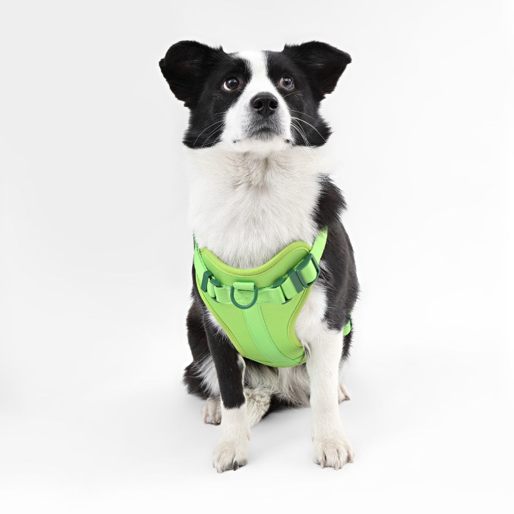 Khushal Adjustable Soft Padded No Pull Pet Harness with 3 Buckles and 3 Leash Clips