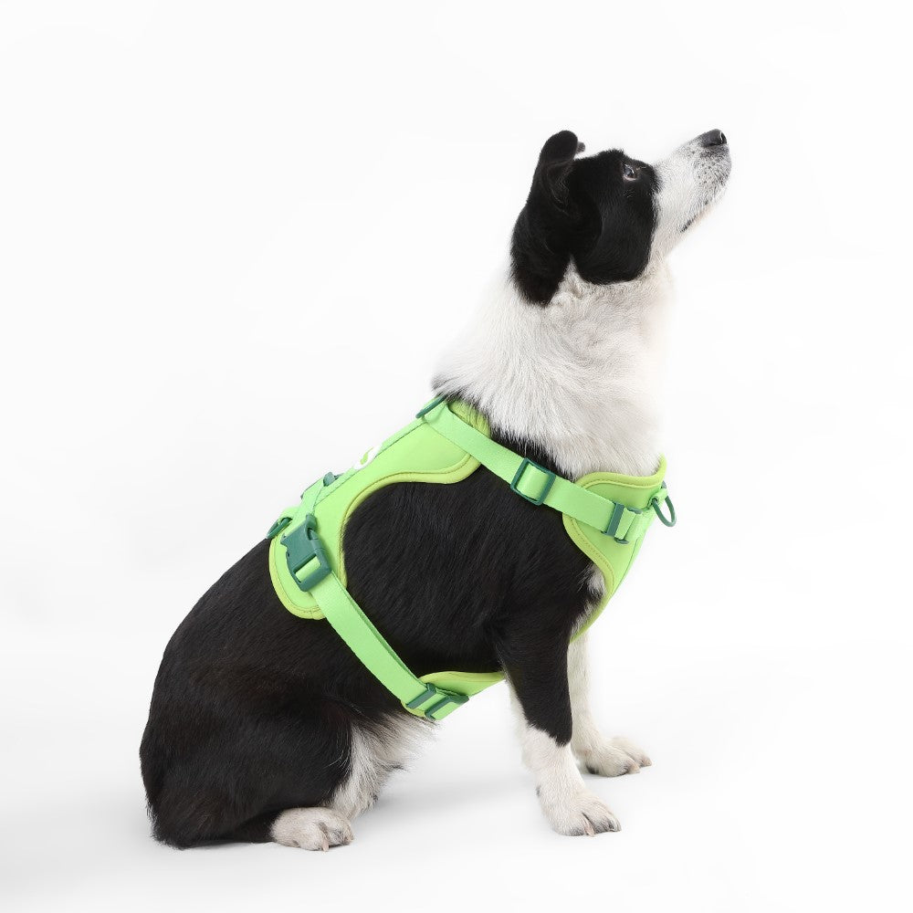 Khushal Adjustable Soft Padded No Pull Pet Harness with 3 Buckles and 3 Leash Clips