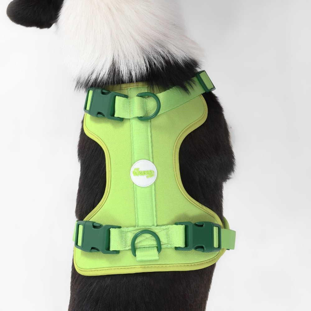 Khushal Adjustable Soft Padded No Pull Pet Harness with 3 Buckles and 3 Leash Clips