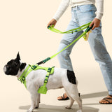 Khushal Adjustable Soft Padded No Pull Pet Harness with 3 Buckles and 3 Leash Clips