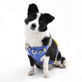 Khushal Adjustable Soft Padded No Pull Pet Harness with 3 Buckles and 3 Leash Clips