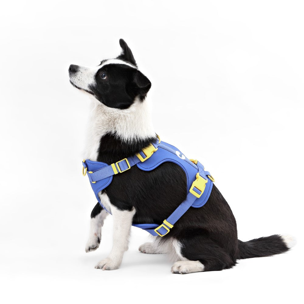 Khushal Adjustable Soft Padded No Pull Pet Harness with 3 Buckles and 3 Leash Clips