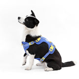 Khushal Adjustable Soft Padded No Pull Pet Harness with 3 Buckles and 3 Leash Clips