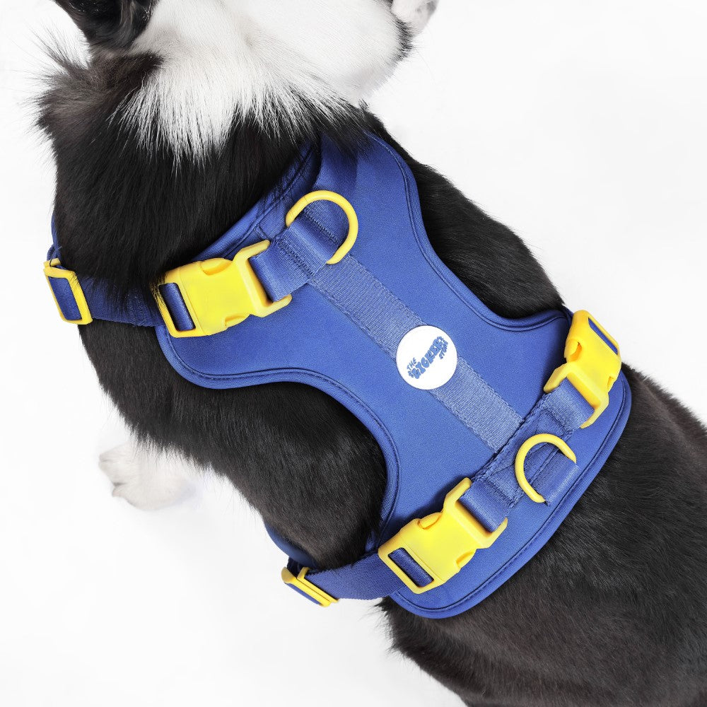 Khushal Adjustable Soft Padded No Pull Pet Harness with 3 Buckles and 3 Leash Clips