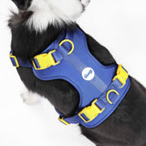 Khushal Adjustable Soft Padded No Pull Pet Harness with 3 Buckles and 3 Leash Clips