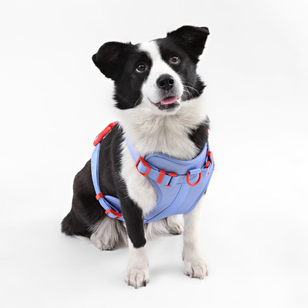 Khushal Adjustable Soft Padded No Pull Pet Harness with 3 Buckles and 3 Leash Clips