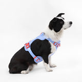 Khushal Adjustable Soft Padded No Pull Pet Harness with 3 Buckles and 3 Leash Clips