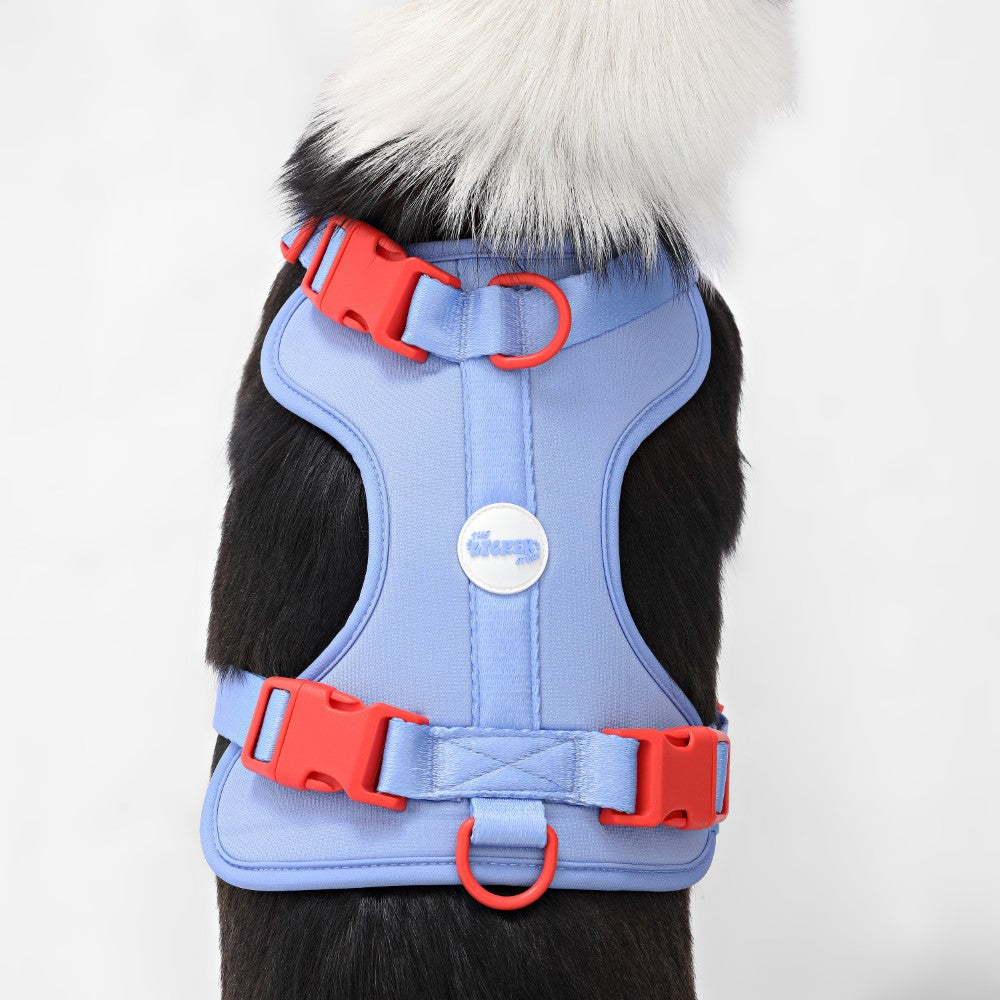 Khushal Adjustable Soft Padded No Pull Pet Harness with 3 Buckles and 3 Leash Clips