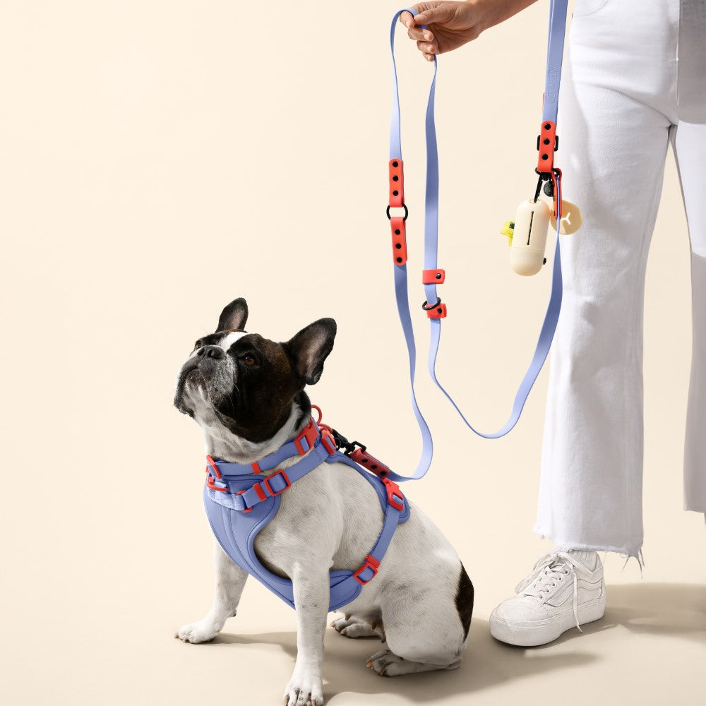 Khushal Adjustable Soft Padded No Pull Pet Harness with 3 Buckles and 3 Leash Clips