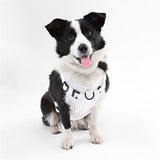 Khushal Adjustable Soft Padded No Pull Pet Harness with 3 Buckles and 3 Leash Clips