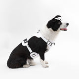 Khushal Adjustable Soft Padded No Pull Pet Harness with 3 Buckles and 3 Leash Clips