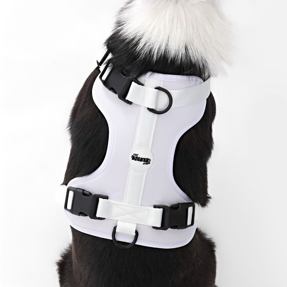 Khushal Adjustable Soft Padded No Pull Pet Harness with 3 Buckles and 3 Leash Clips